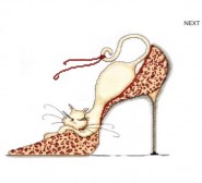 Кошка на леопардовой туфельке. Leopard Shoe Kitty. Marilyn Robertson