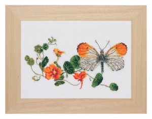    (Butterfly and Nasturtiums)
