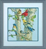   . Birch Tree Birds